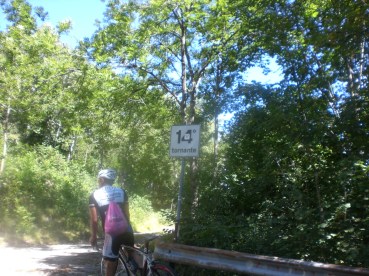 Pian dei Resinelli tornanti (18)